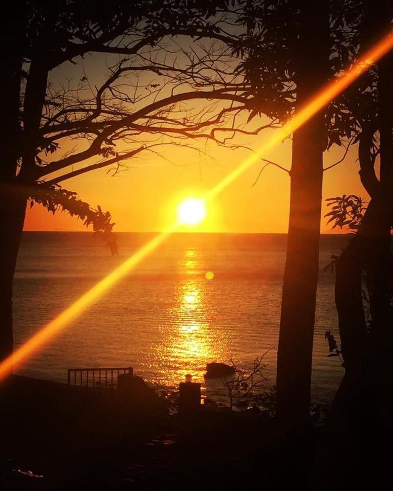 Villa Milagros Dive Inn Anilao مابيني المظهر الخارجي الصورة
